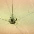Хапуга рыболовная с косынкой 1,15 х 1,15 м, ячея: сетки -16 мм, косынок - 24 мм